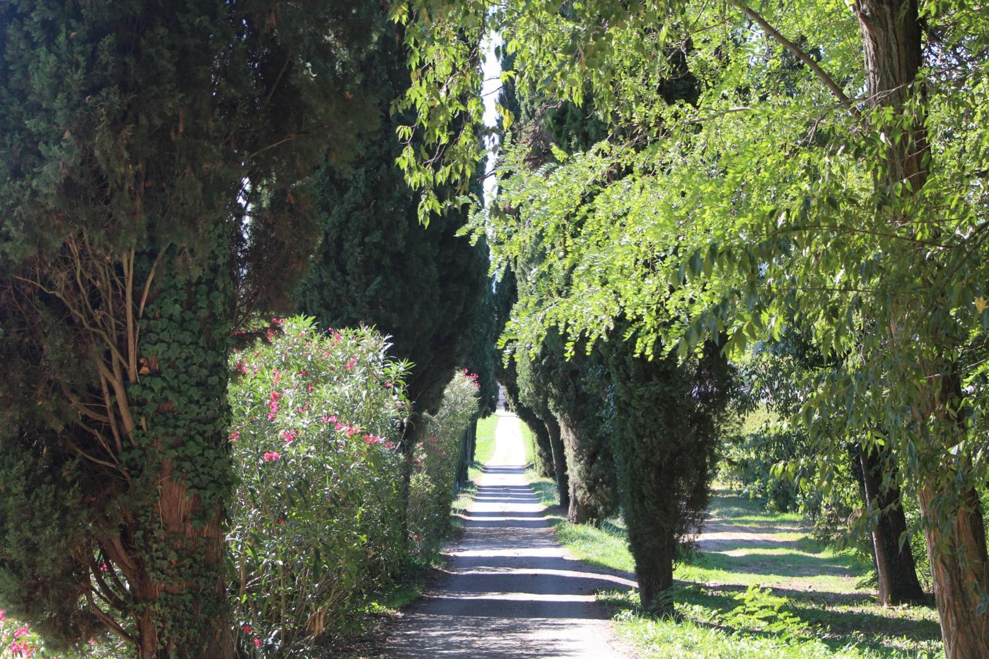 Cornillon Chateau De L'Olivete מראה חיצוני תמונה