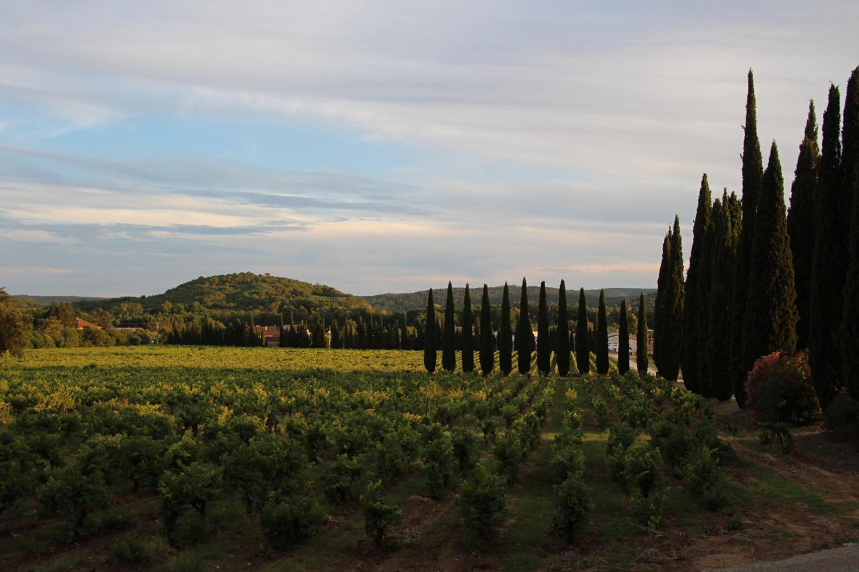 Cornillon Chateau De L'Olivete מראה חיצוני תמונה
